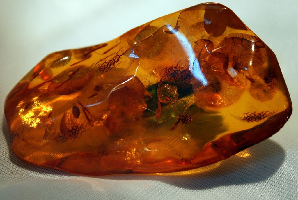 1024px Jantar 023