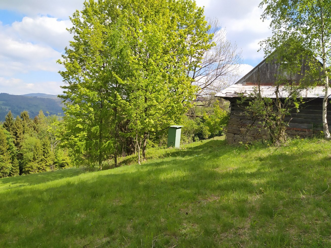 104696595 2990667517635332 7863008323629180291 o