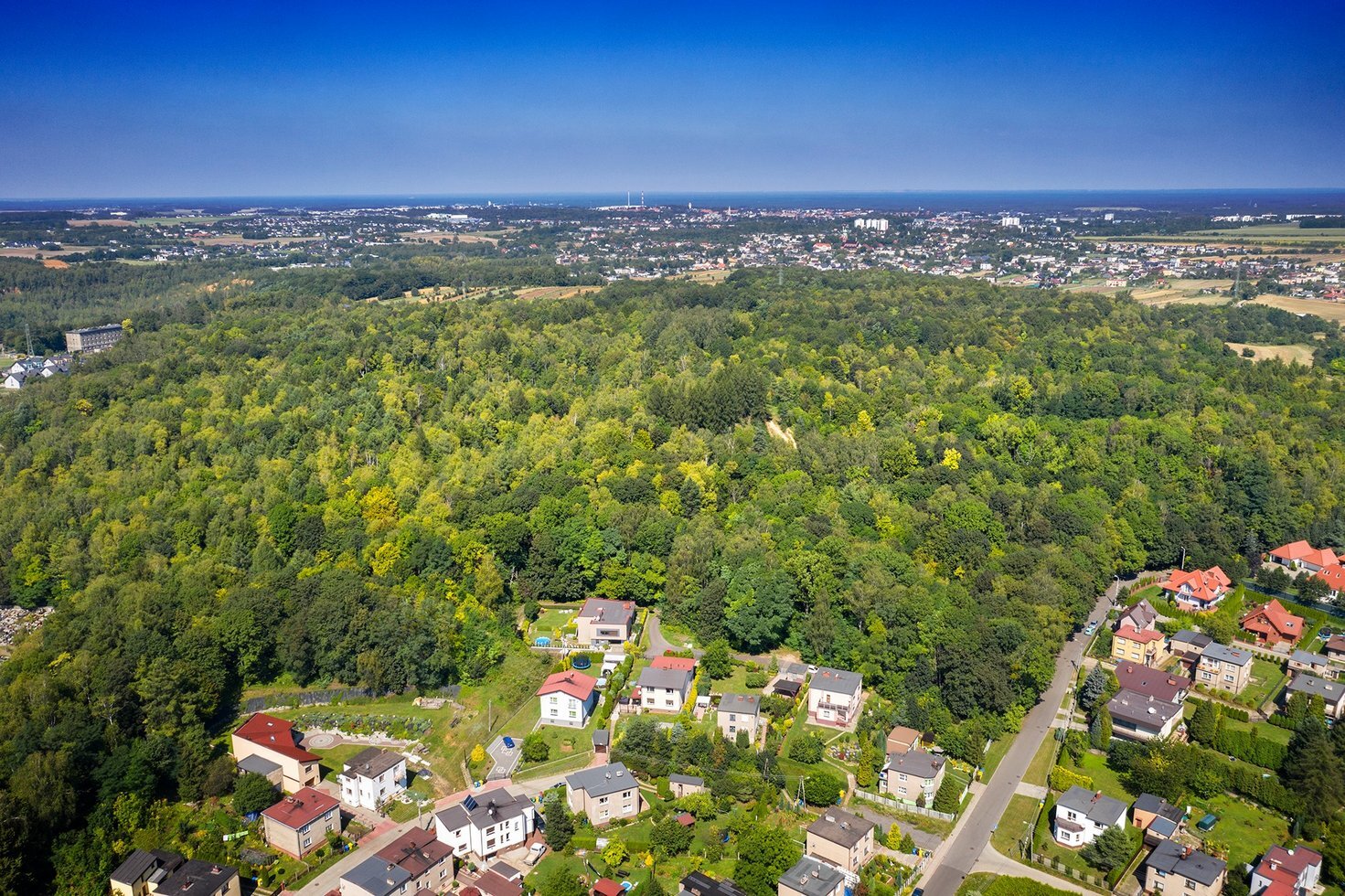 118159171 3238839806200279 5387227630900533929 o