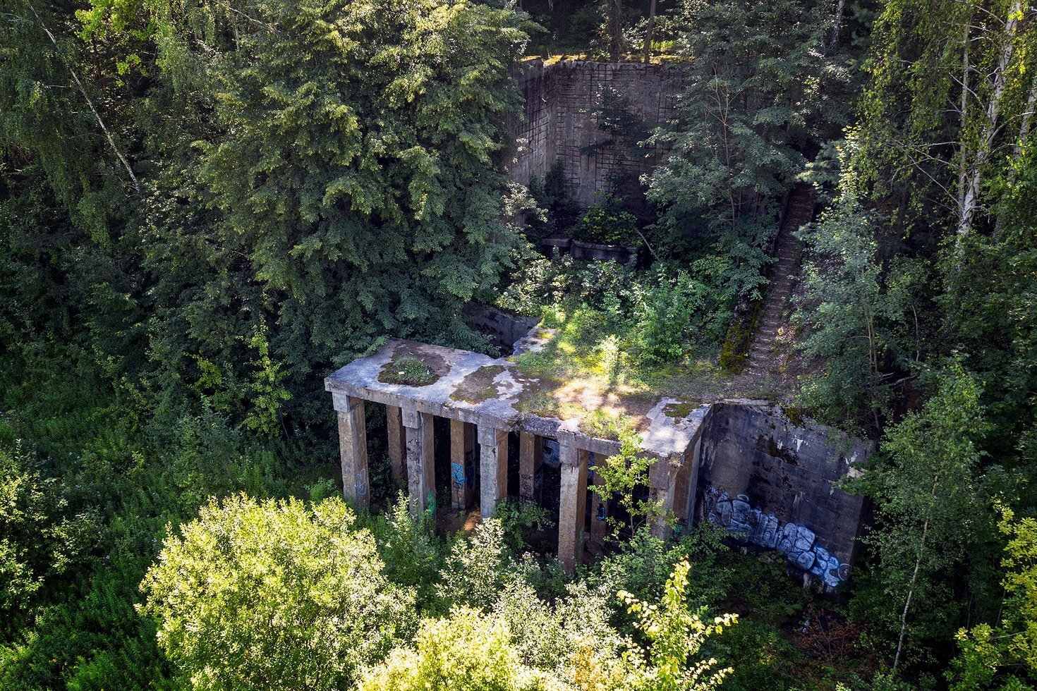 118516929 3238845492866377 2993357682230975180 o