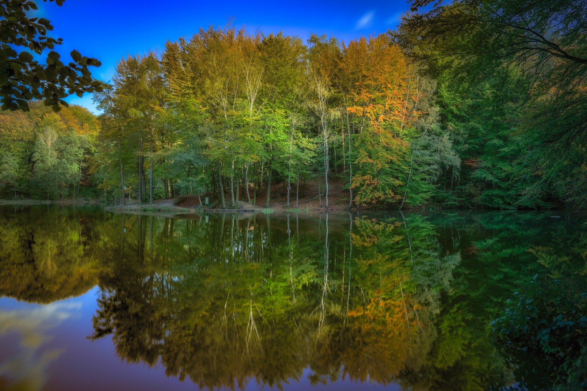 124006170 3881044228629641 335838216212635855 o