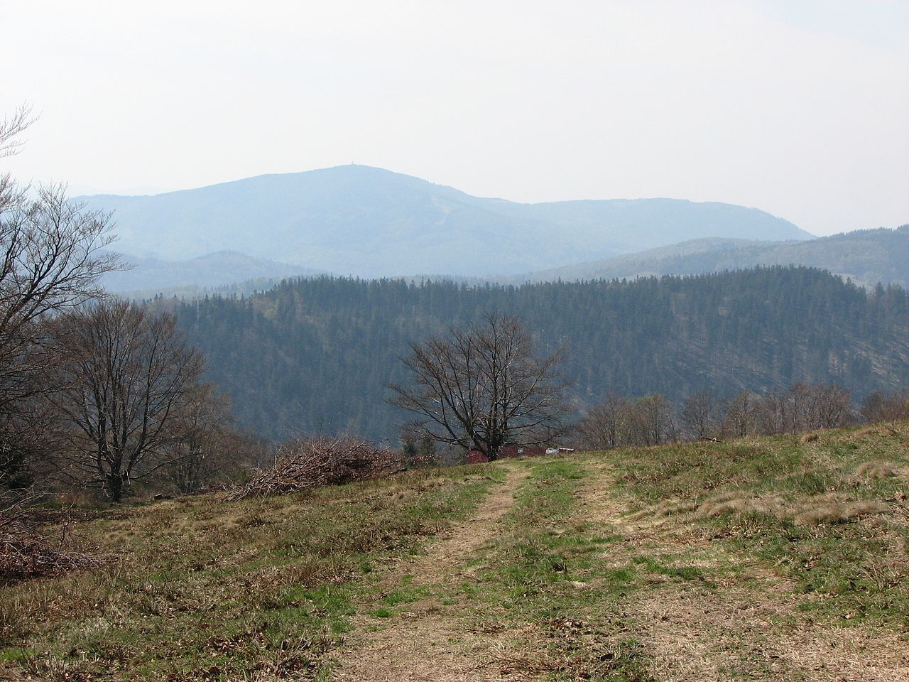 1280px Czantoria Wielka Beskid Slaski Polska Poland