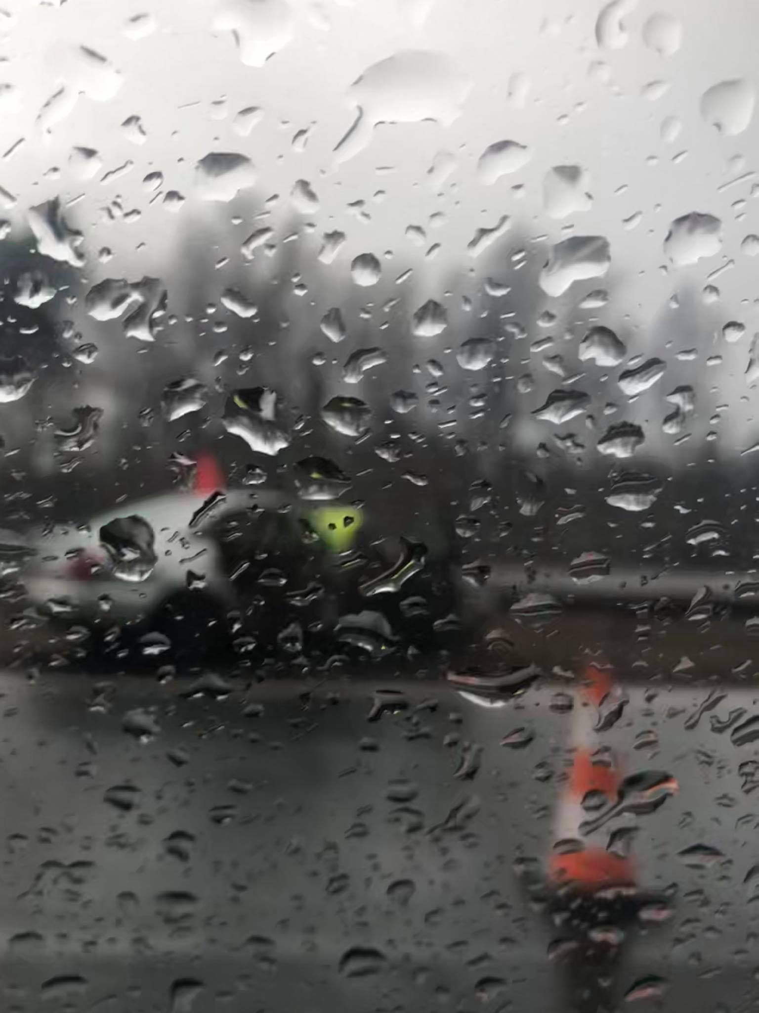 132559471 229663415231444 5155636749412691441 n