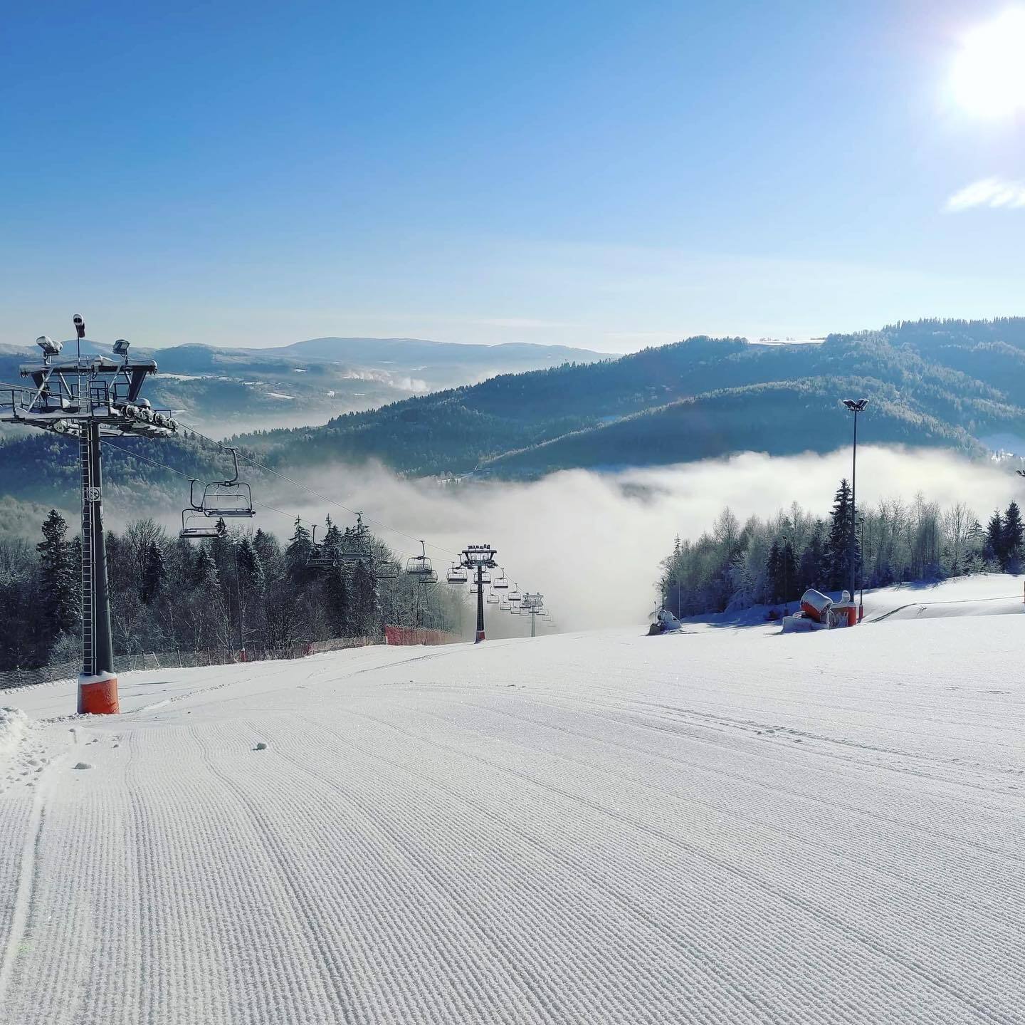 139538932 3663190090413363 6732264689119002299 o