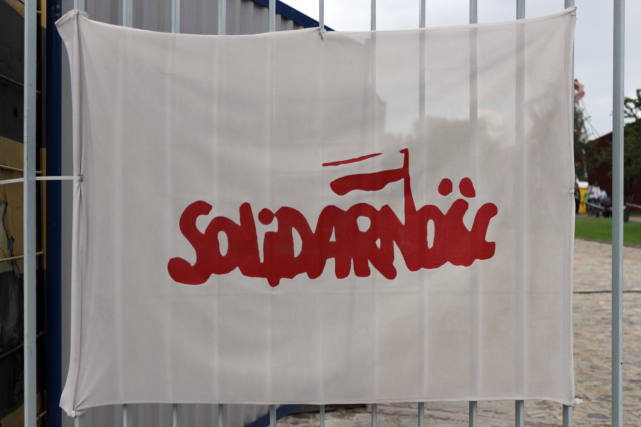 15439004512 deda99e7c6 k 1