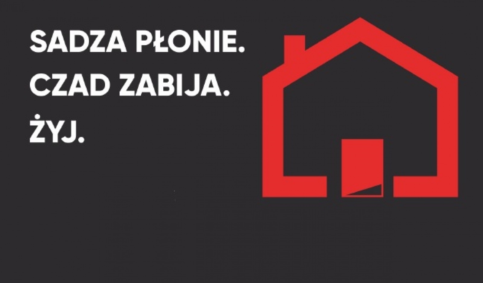 1631009354sadza