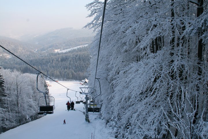 168412 1578922562397 1515644427 31497963 3737521 n