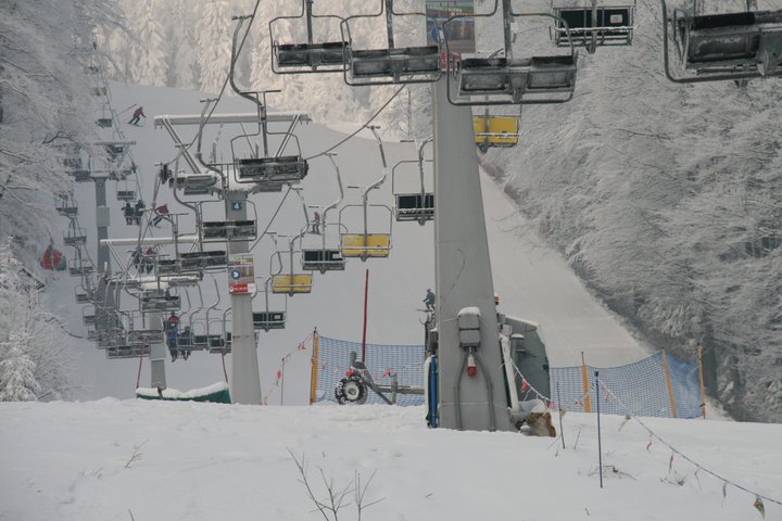 169044 1578918482295 1515644427 31497954 8350610 n