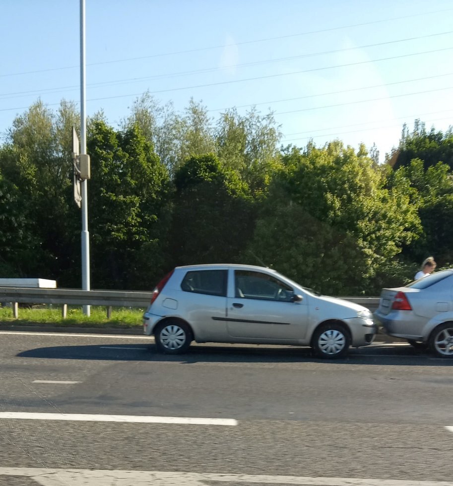 197313454 1188079105044361 6091228417292550229 n 01