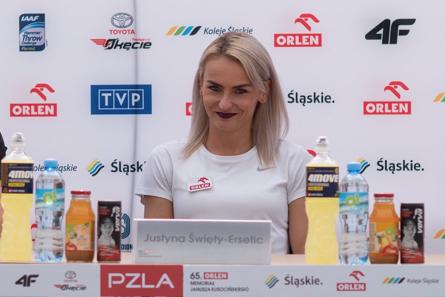 201906151604560028 CHORZOWKUSYKONFERENCJA