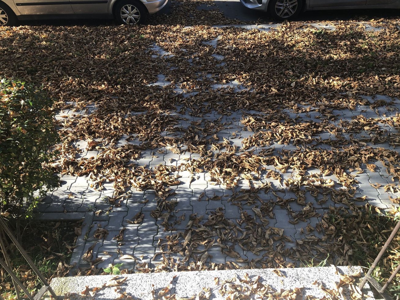 20191020 123919723 i OS