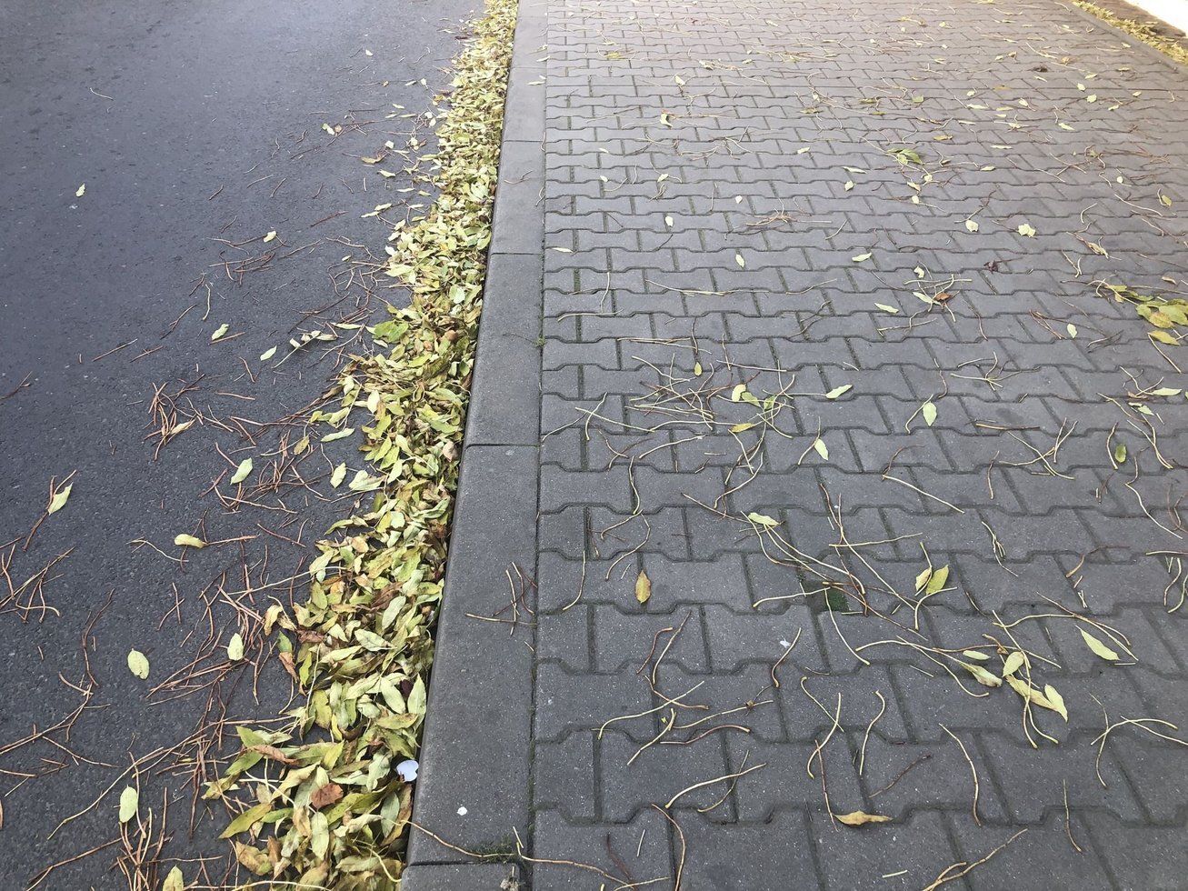 20191020 124136400 i OS