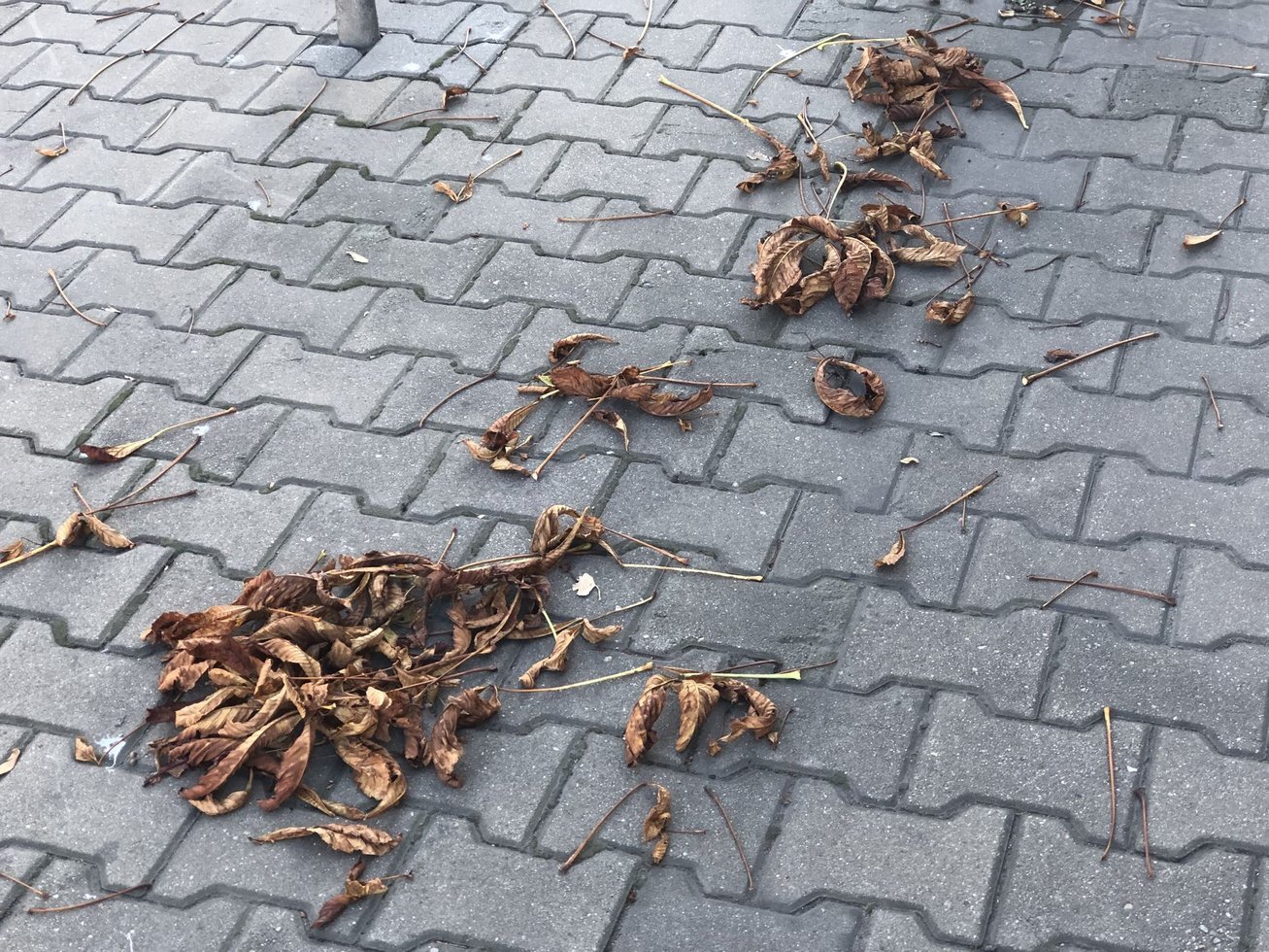 20191020 124347601 i OS