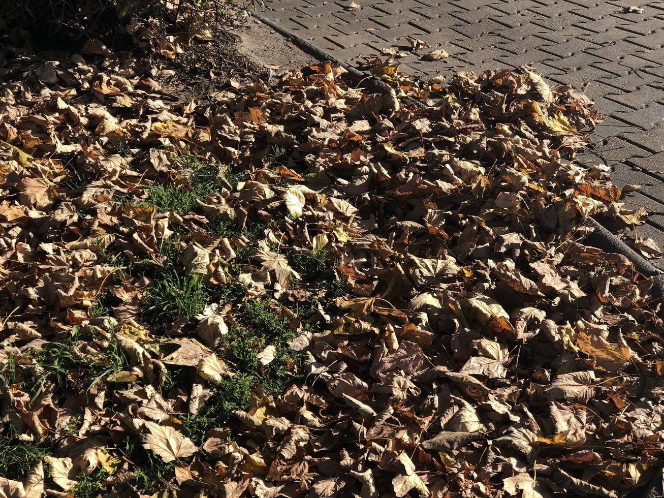 20191020 124419401 i OS