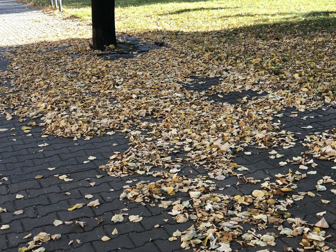 20191020 124456949 i OS