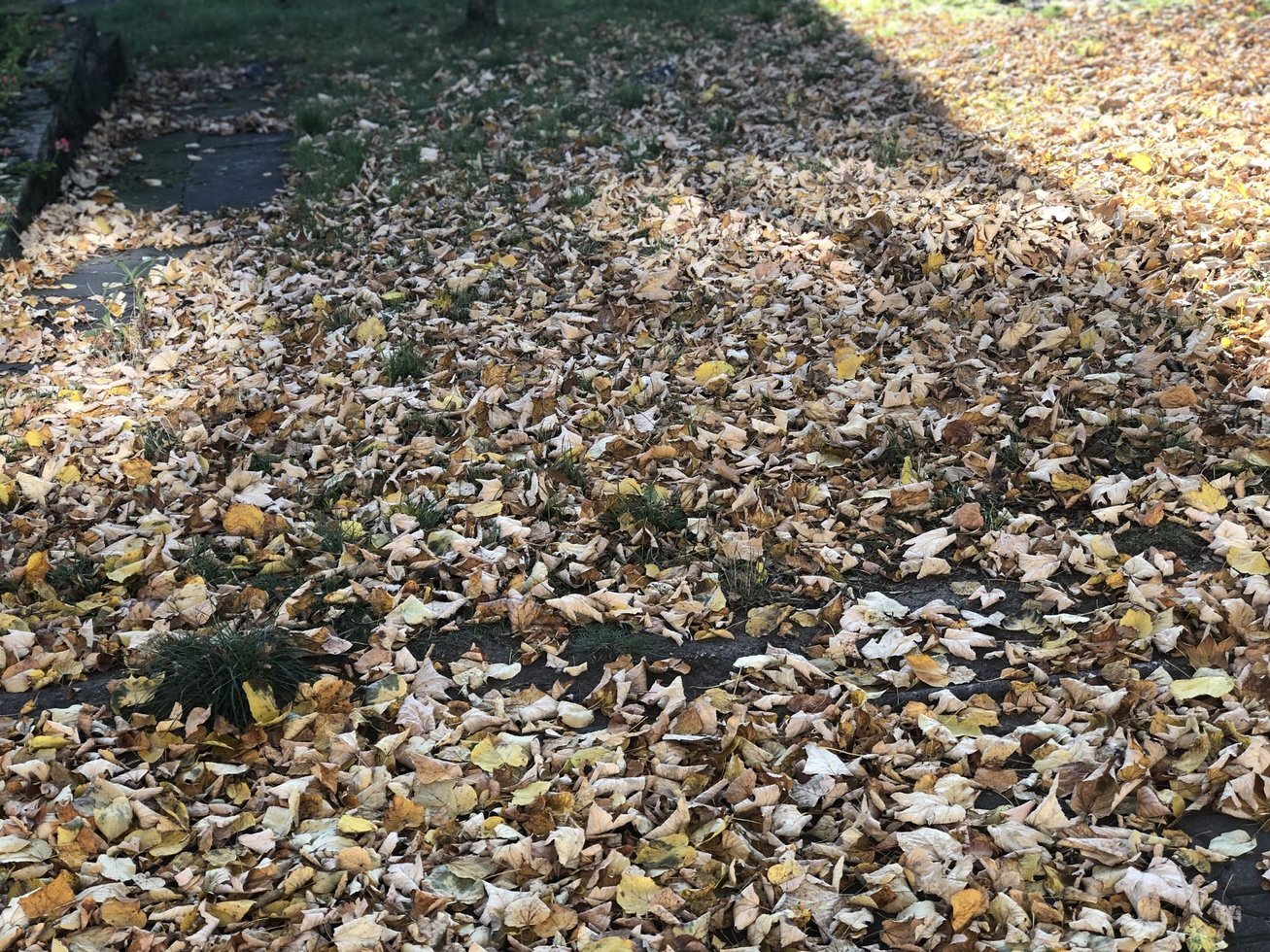 20191020 124501304 i OS