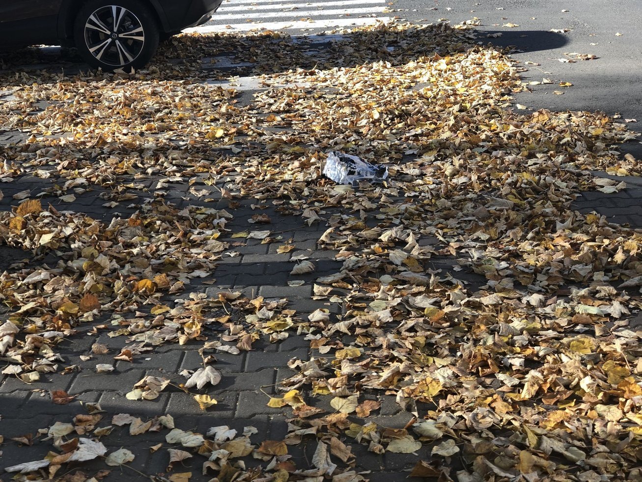 20191020 124504646 i OS