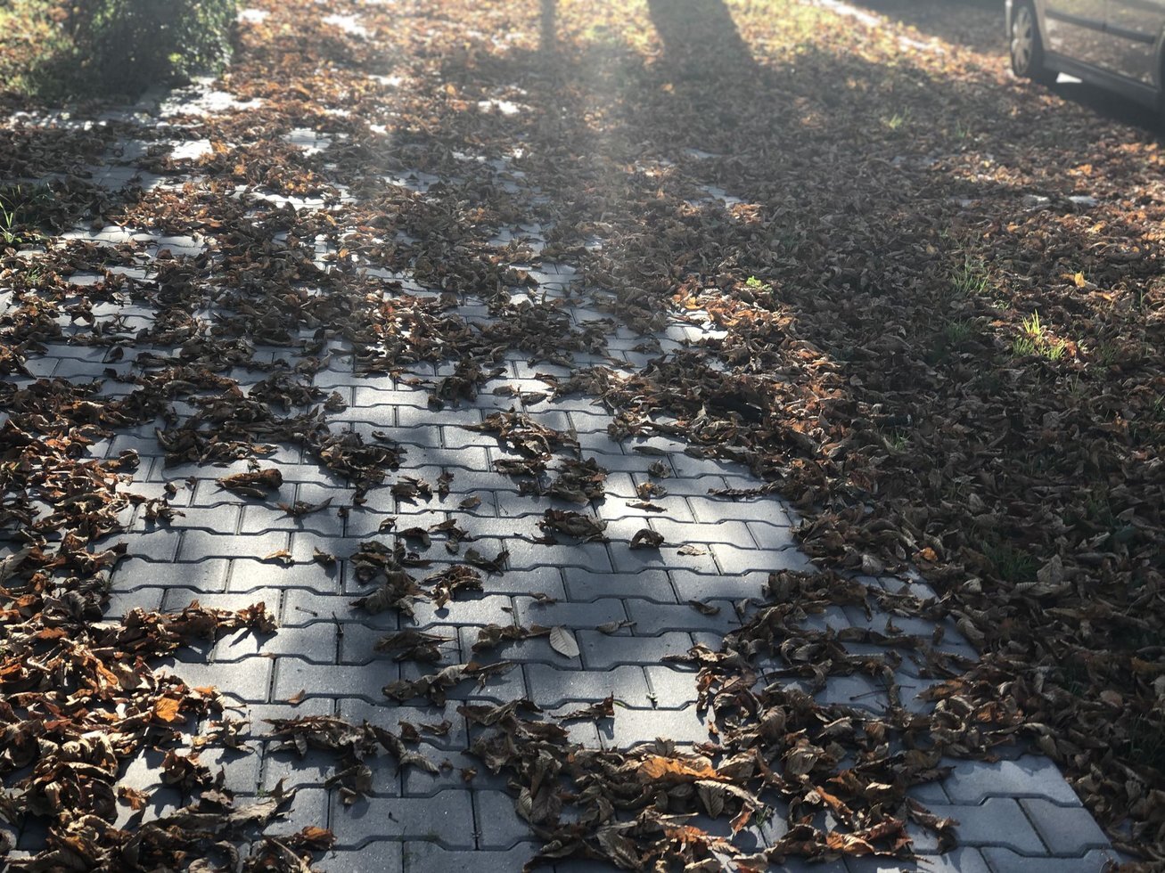 20191020 124522775 i OS