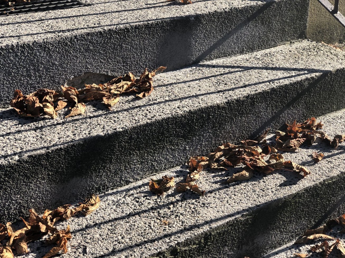 20191020 124533365 i OS