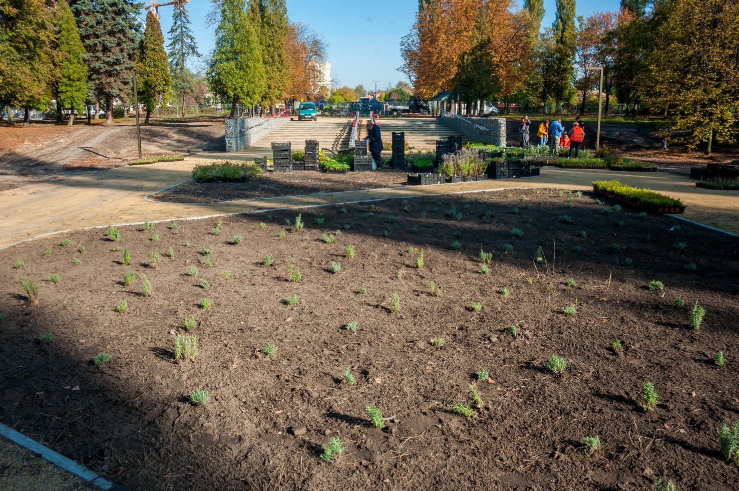 2020 10 20 SADZONKI PARK FUSINSKIEGO 3