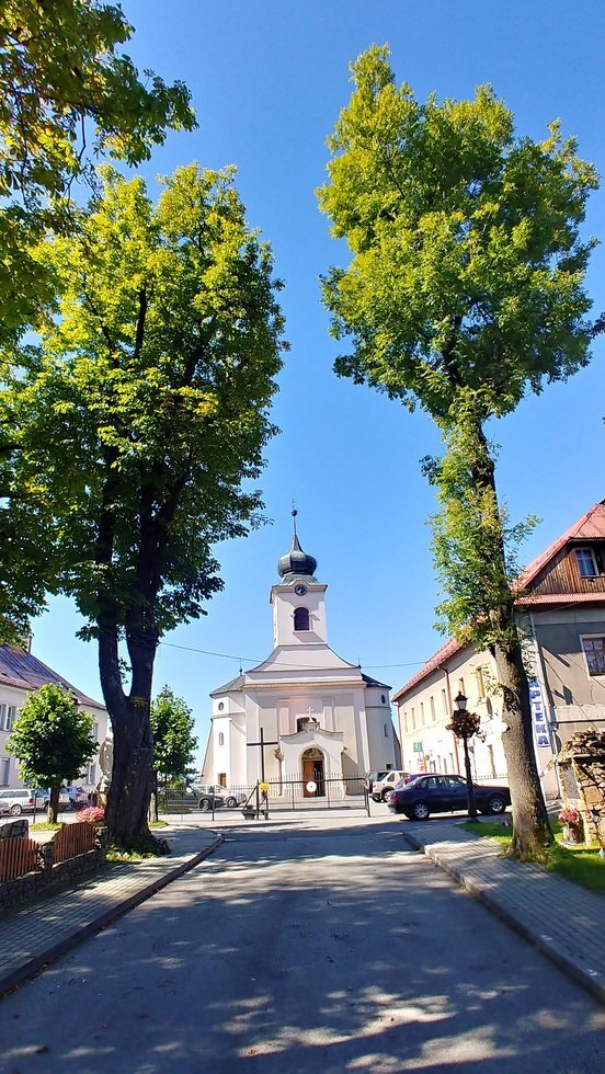 20200909 114336 HDR