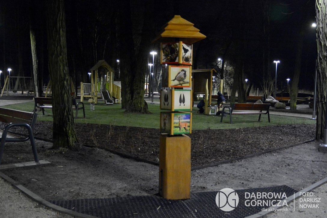 20201229 043 pl dg podlesie park podlesie rewitalizacja noc