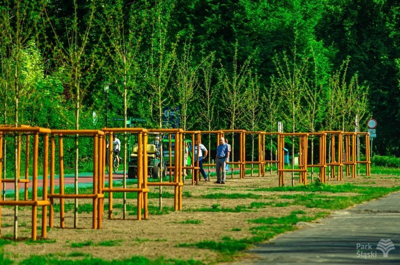 202341566 4476897015656233 4427113394482348848 n 01