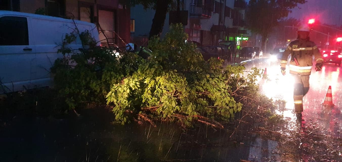 203663670 4145418675495958 1167934287718053802 n