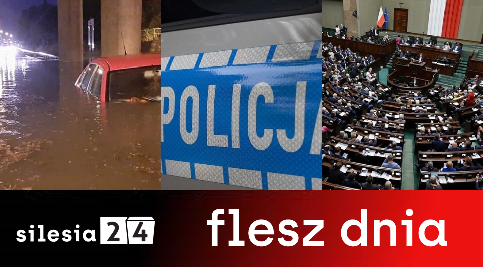 203882404 1165515017296979 8386911469858731074 n