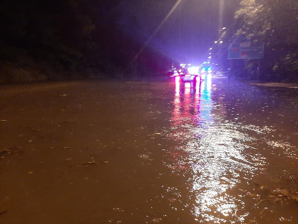 204093863 4145419082162584 3486528969361643297 n