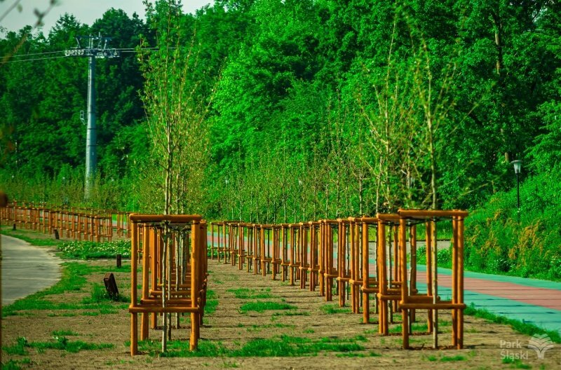 204193294 4476897268989541 8197477710577749257 n 01