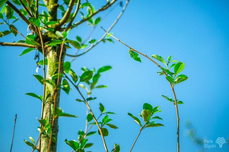 205436077 4476897632322838 8286671539594109546 n 01