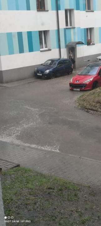211976898 3024155547817980 7010264007327345729 n