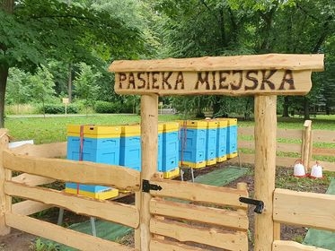 212070603 1087154755146001 7139484005353125349 n 800x600 s