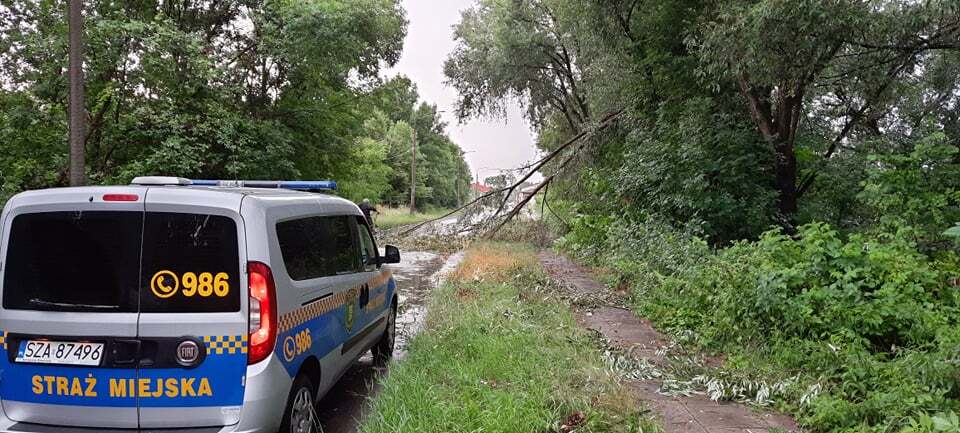 218050477 547566693262678 2261896025996266012 n