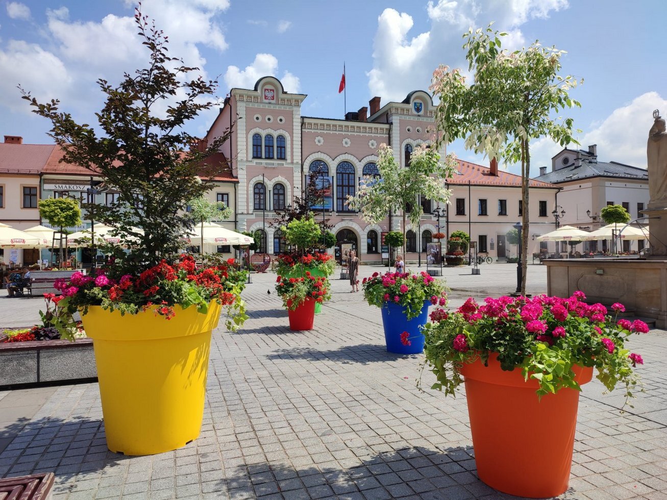 218435623 1726131860912599 1914436798425420740 n