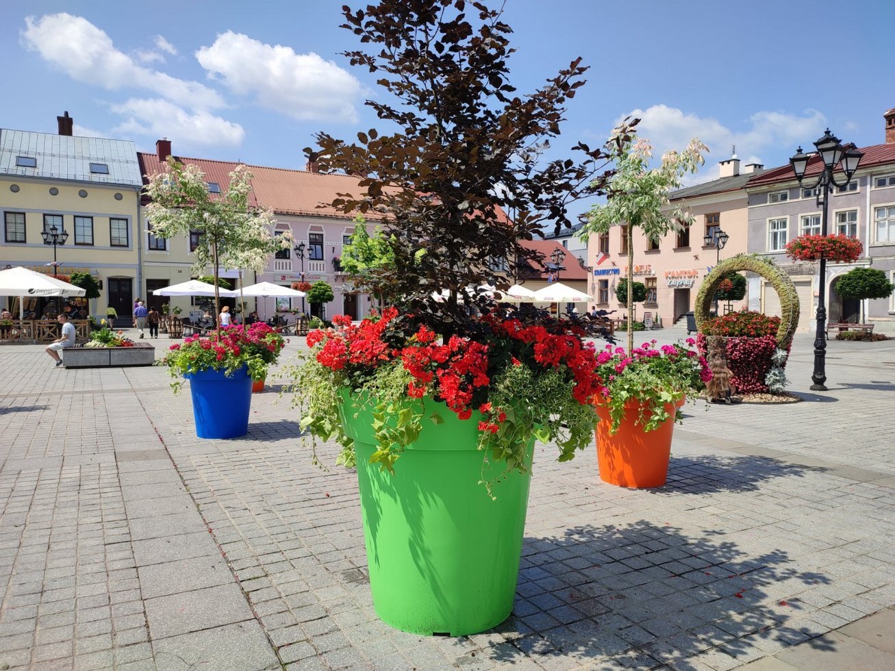 218997116 1726131847579267 6968475305958363630 n