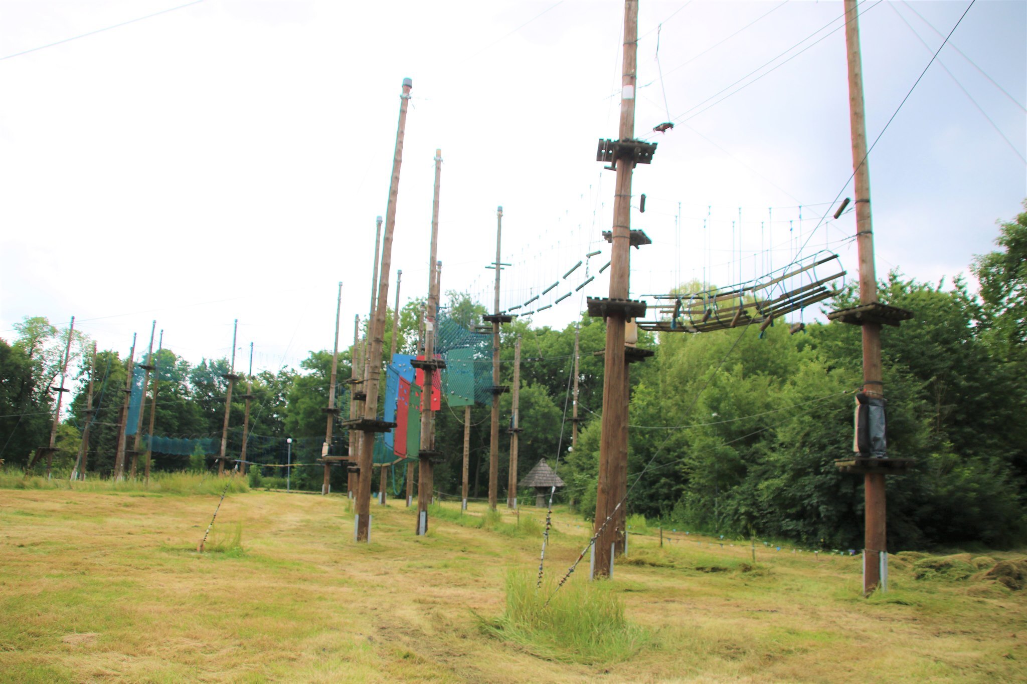 227233175 4588976441114956 4133739221247788456 n