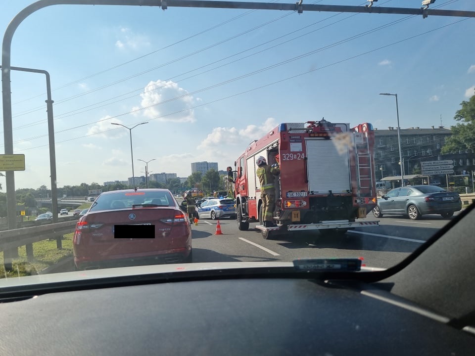 235811333 162495915956180 5439648865656398851 n