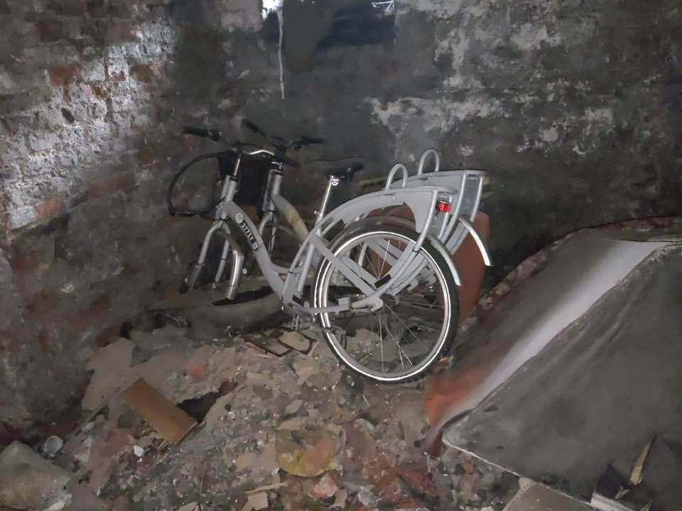 241155604 4454544151274863 1922080283149542877 n