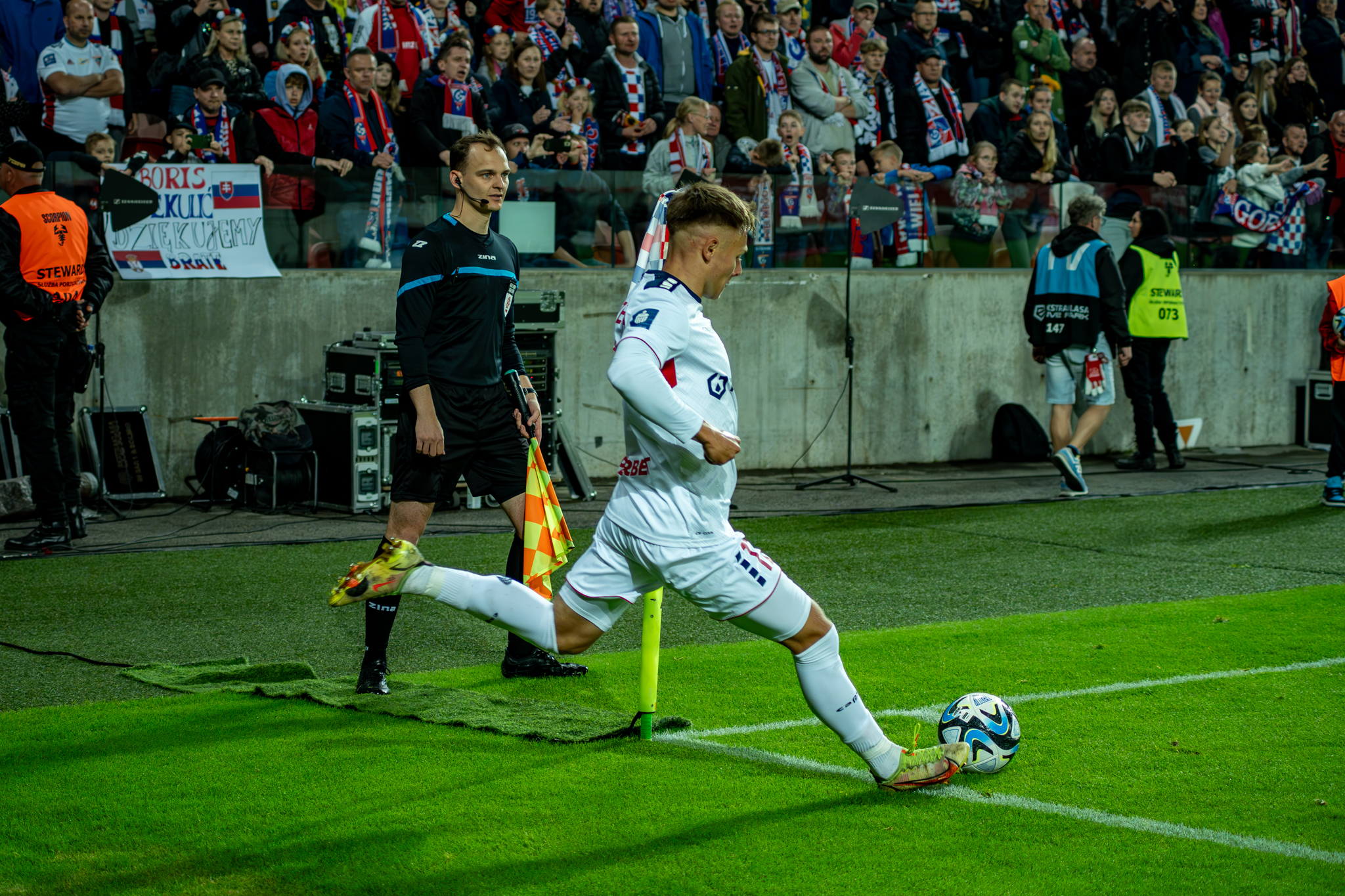 Górnik Zabrze - Puszcza Niepołomice 1:1