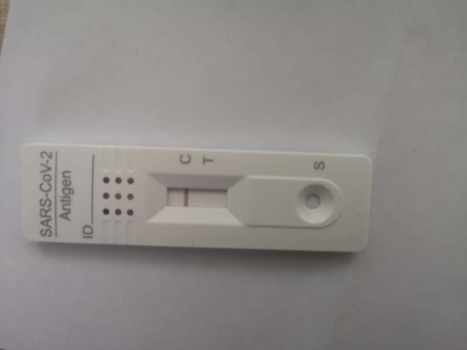 272322332 2012423828937419 1580430302618811212 n