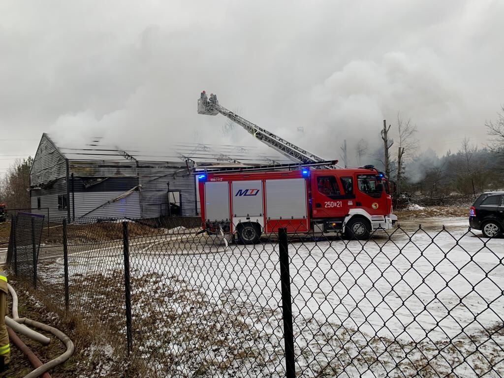 272797523 247932850854164 3121594466952288416 n