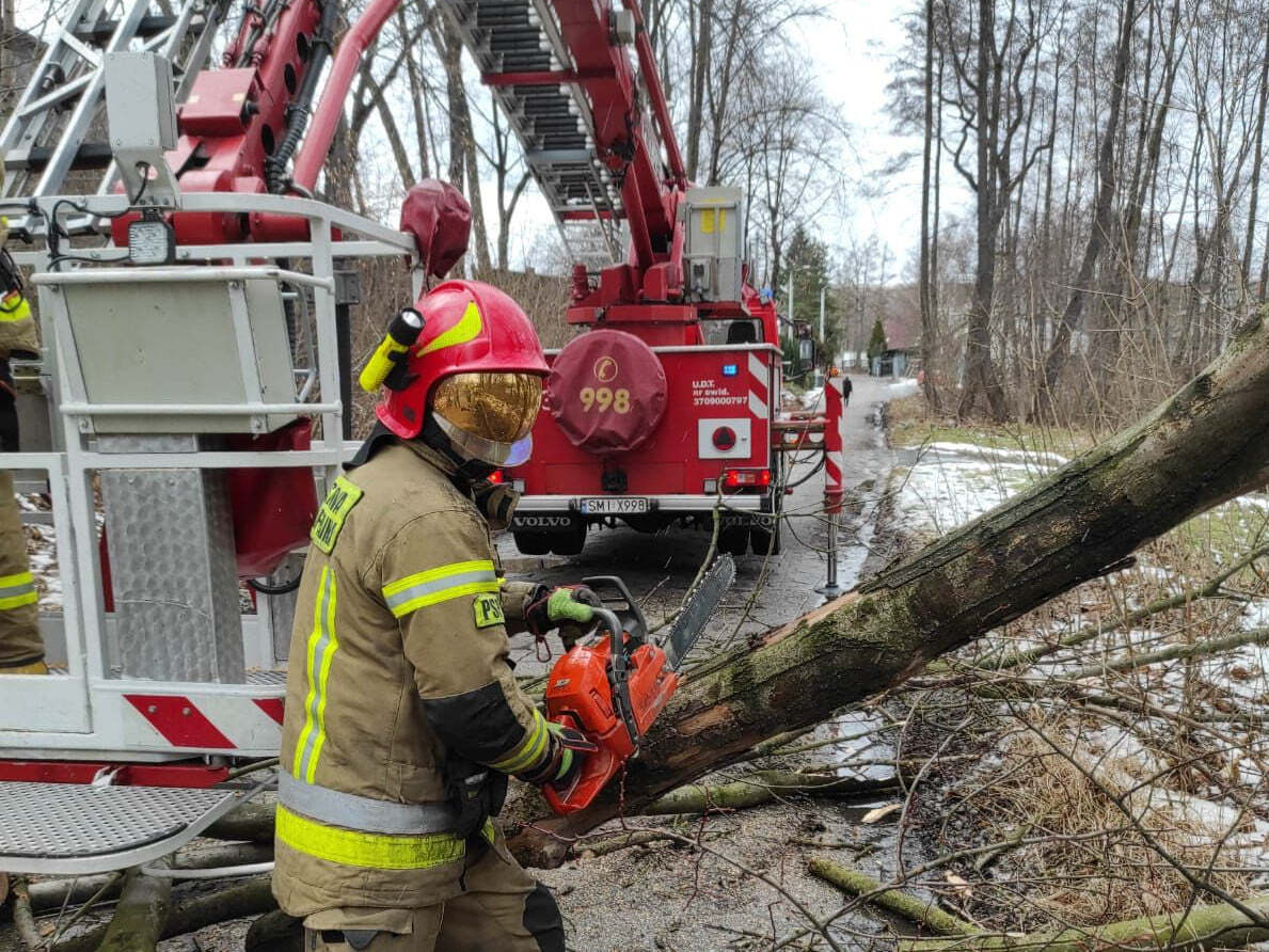 274180870 256868153294649 8040030775965448972 n