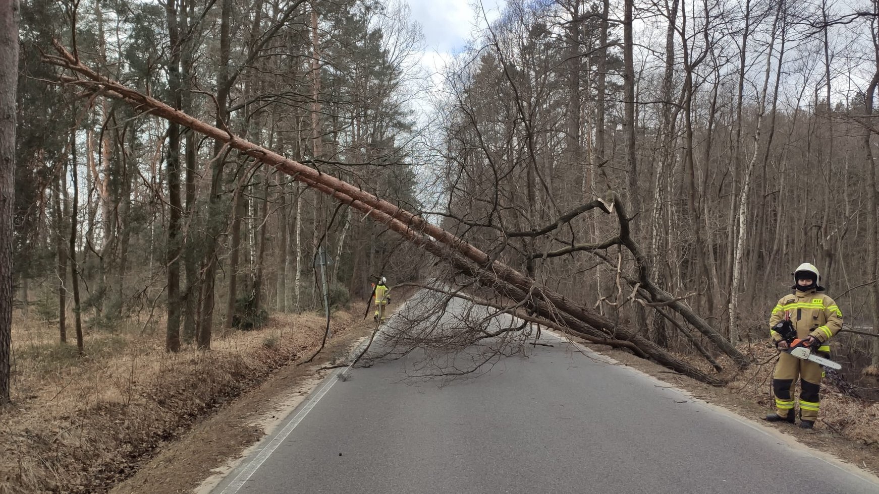 274205752 315104837346358 4373043339370894467 n