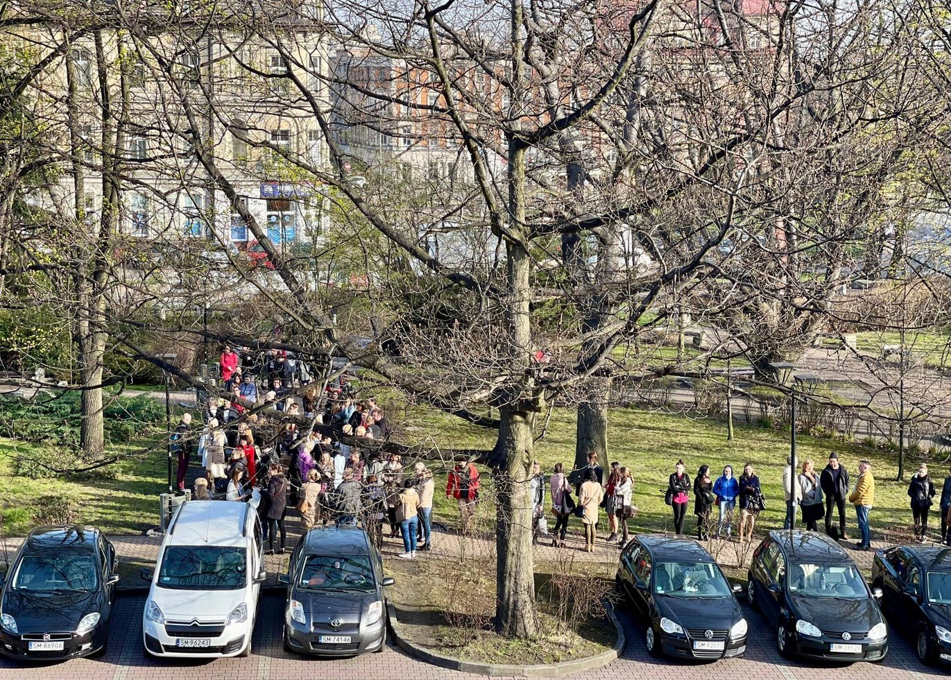 278484905 505243784564434 7239688421071050397 n