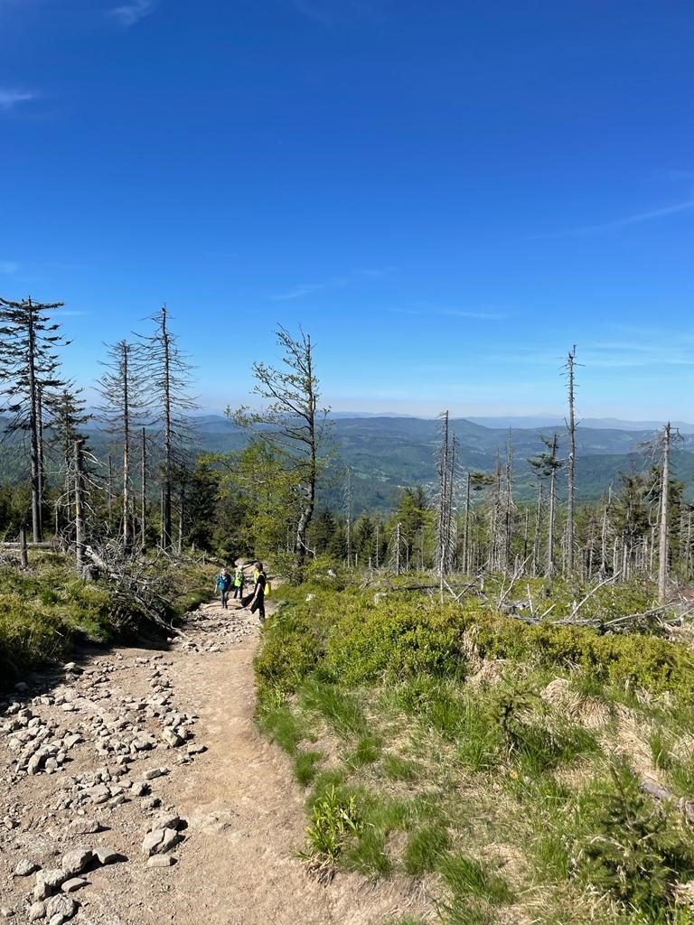 283622083 5363897547000864 1084253326963851857 n