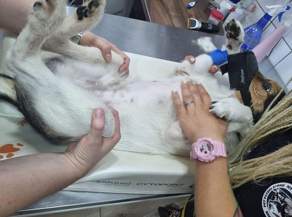 291432292 405228518315250 6019475898950069962 n