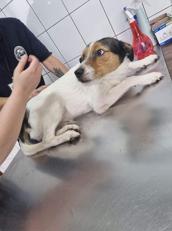 291602846 405228484981920 5799172364490299400 n