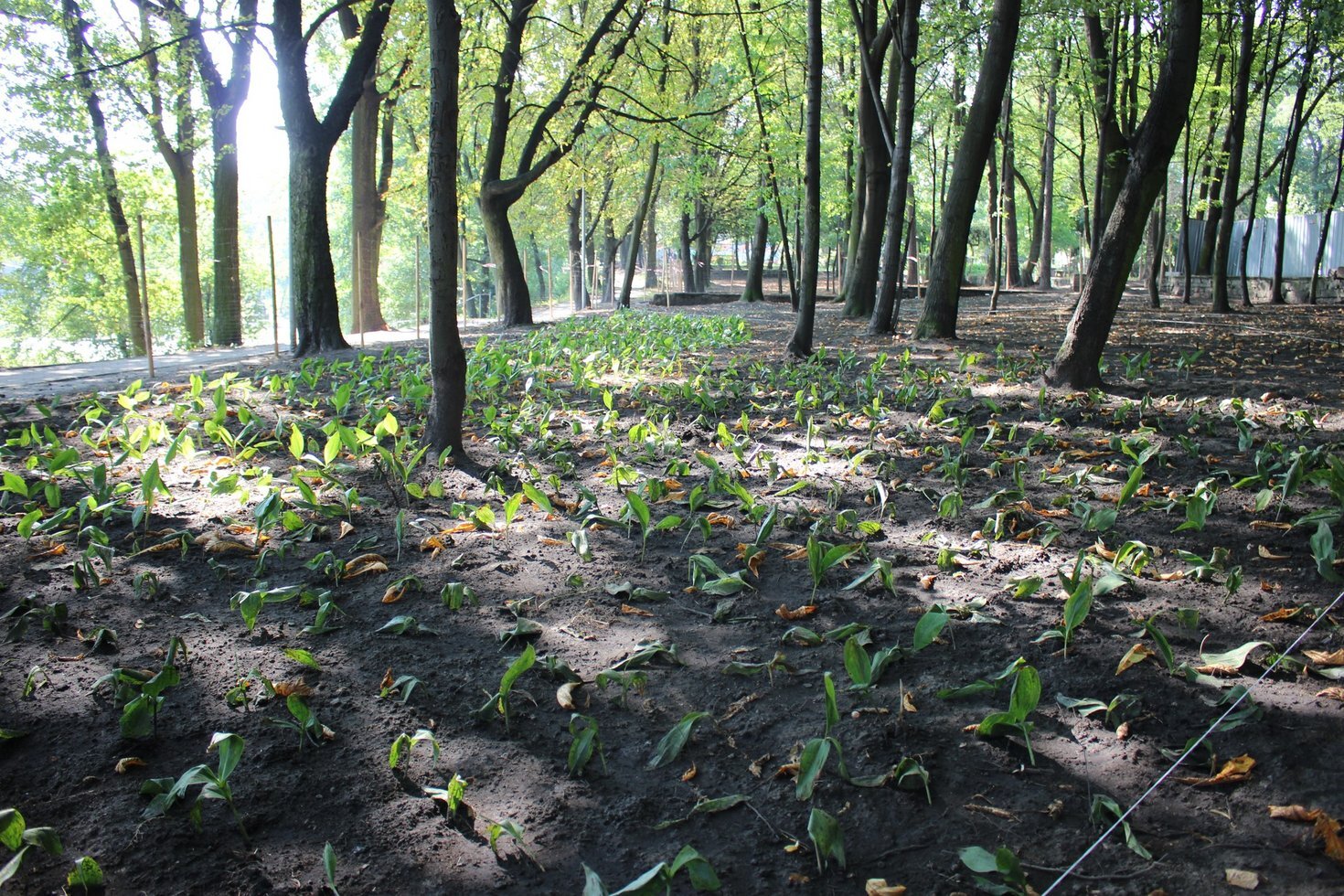 306002668 10159304405677582 4714738158724359678 n